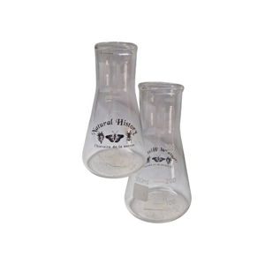 vaasje erlenmeyer clear